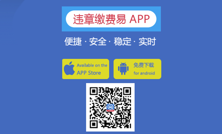 违章缴费易-可以查询违章情况交罚单费用的车服务APP